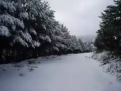 Camino en Velilla (Muelas). Foto JM Pia