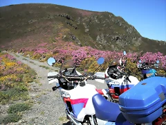 DSCF2528 DSCF2528