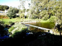 DSCN6796 DSCN6796
