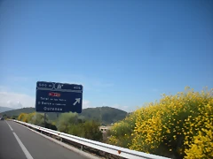 DSCN6097