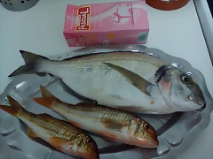 Dorada, Salmonetes