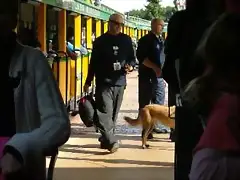 Perros policía Perros policía