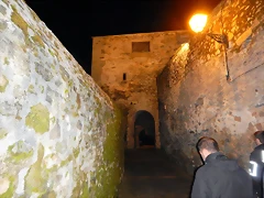 DSCN3195 DSCN3195