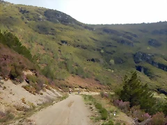 DSCN9591 DSCN9591