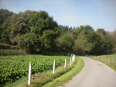 DSCN9724 DSCN9724