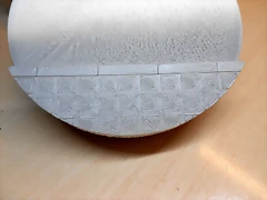 DSCN5743