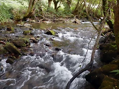 DSCN9772 DSCN9772