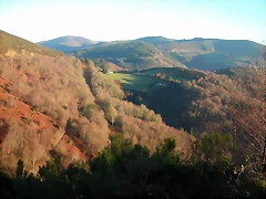DSCN5452 DSCN5452