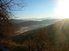 DSCN5451 DSCN5451