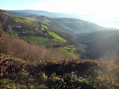 DSCN5456 DSCN5456