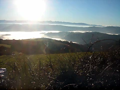 DSCN5454 DSCN5454