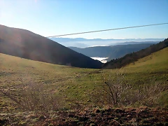 DSCN5461 DSCN5461
