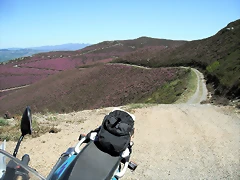 DSCF2555 DSCF2555