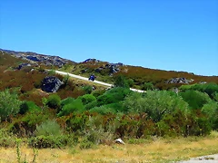 IMG_7727 IMG_7727