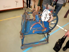DSCN4206 DSCN4206