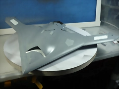 P1100019