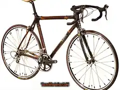 bicicleta-de-bambu-tecnomaniatico-tecnologia-actual-imagen1