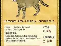 gato de la jungla