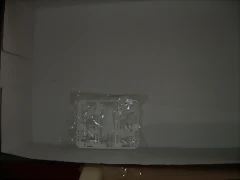 DSCN1964 DSCN1964