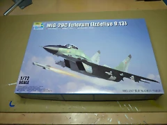 P1050625 P1050625