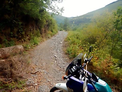 DSCN7937 DSCN7937