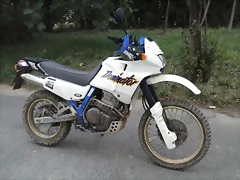 CAM00714 CAM00714