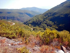 DSCN7758 DSCN7758