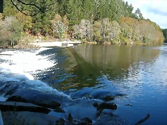 DSCN6379 DSCN6379
