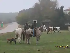 10, vaqueros y perros, marca