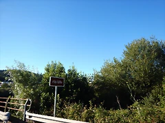 DSCN9704 DSCN9704