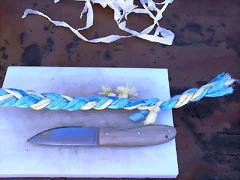 DSCF1218 DSCF1218