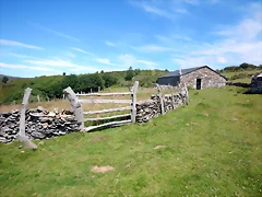 DSCN8322 DSCN8322
