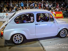 DSC_5950 DSC_5950