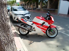SAM_5918