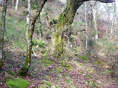 DSCN9274 DSCN9274