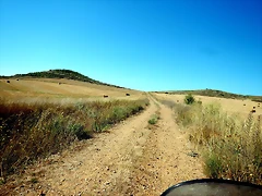 DSCN6738 DSCN6738