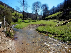 DSCN9090.JPEG DSCN9090.JPEG