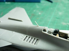 P1080615 P1080615
