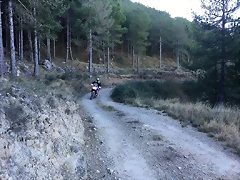 87