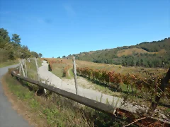 DSCN4666 DSCN4666