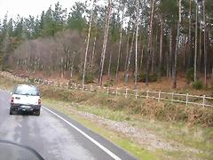DSCN8441