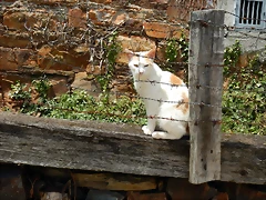 DSCN1142 DSCN1142