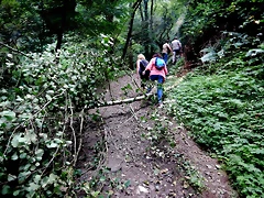 DSCN0905 DSCN0905