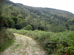 IMG_0453 IMG_0453