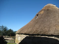 IMG_1119 IMG_1119