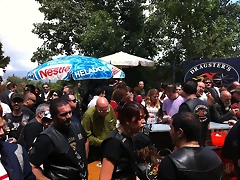 IMG_1465 IMG_1465