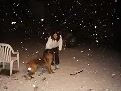 Sasha en la nevada