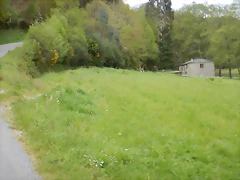DSCN9329