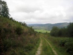 IMG_0452 IMG_0452