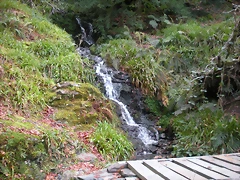 DSCN0683 DSCN0683